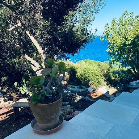 Casa Cesare